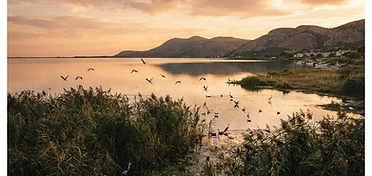 Il Gargano e il Lago di Lesina: una Puglia autentica tutta da scoprire