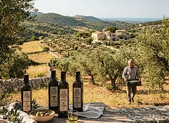 Azienda Agricola Ventrella