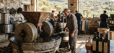 Olio Clemente