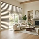 Zebra Shades thumbnail 1