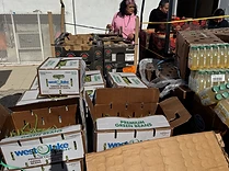 Produce Pallets Ready
