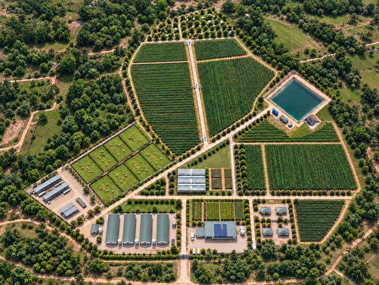 EELDYN Nkoranza farm campus aerial — cultivation fields, irrigation pond, goat grazing paddocks, goat campus, poultry houses, net-houses and nursery, operations and processing with solar panels, and staff housing.
