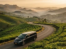 Scenic & Estate Tours