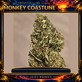 Monkey Coastline Fresh Cali Line Flowers – originale Seitenansicht der Blüte