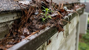 5 Signs Your Gutters Need Cleaning Right Now