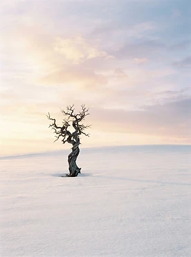 Past frame from Desert of Atacama — Southern Patagonia, Chile