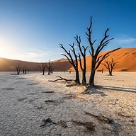 Past expedition frame from Namibia — Angola, frame 1