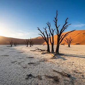 Past expedition frame from Namibia — Angola, frame 1