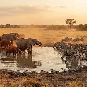 Past expedition frame from Namibia — Angola, frame 3