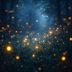 Fireflies glow — cover art