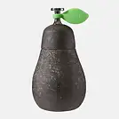 Груша Черный Pear — фото 1