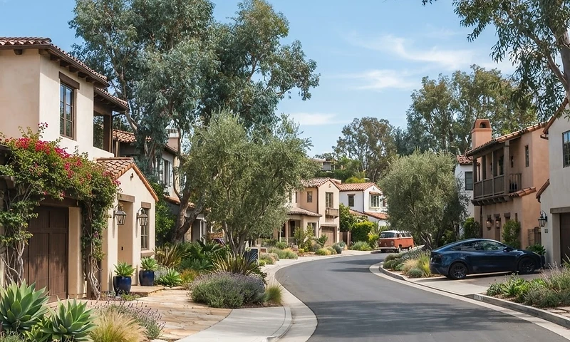 A quiet, well-kept Southern California residential street in daylight