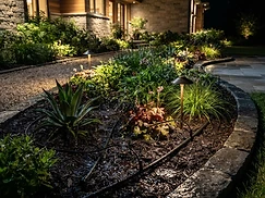 Automatic Irrigation — Night
