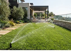 Automatic Irrigation — Day