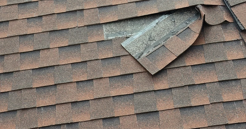 Damaged asphalt shingle roof with a lifted and peeling shingle tab