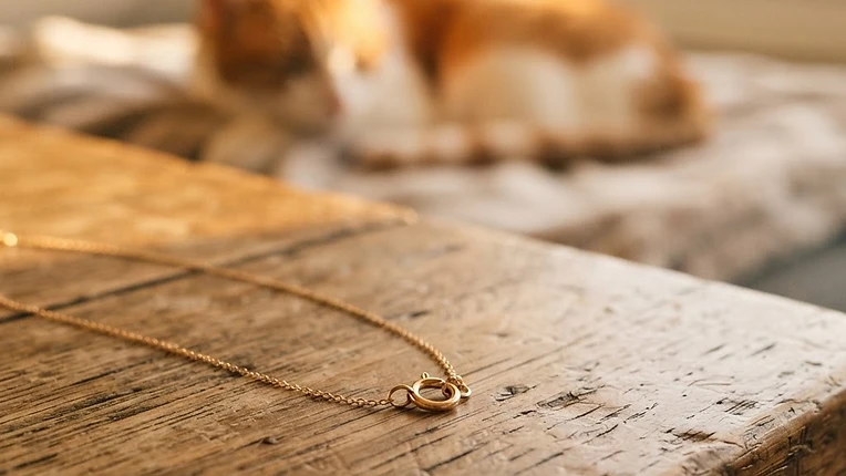 Boucle de sécurité anti-étranglement d'un collier pour chat s'ouvrant sous la tension, chat serein à l'arrière-plan