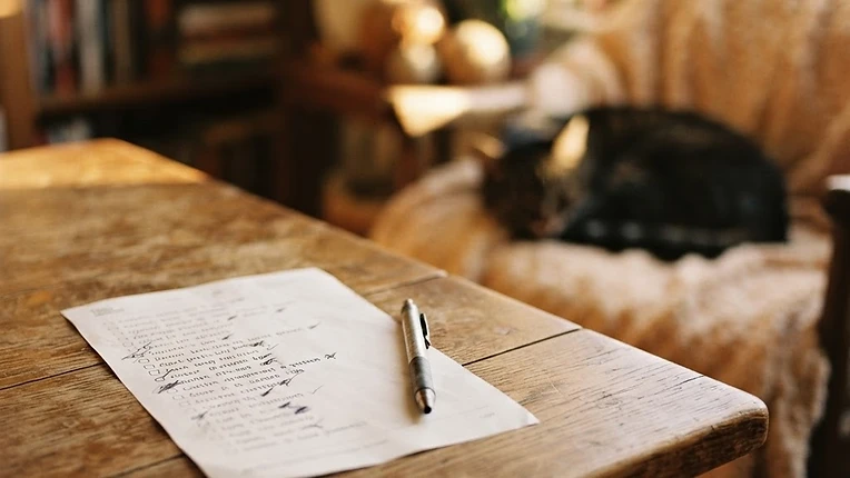 Checklist imprimée sur une table avec un stylo, silhouette de chat en fond