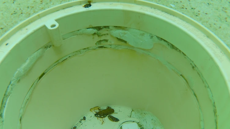 Pool & Spa Leak Detection