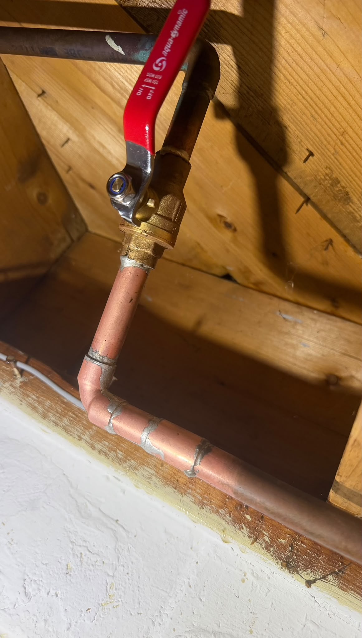 Professional Plumbing Services
