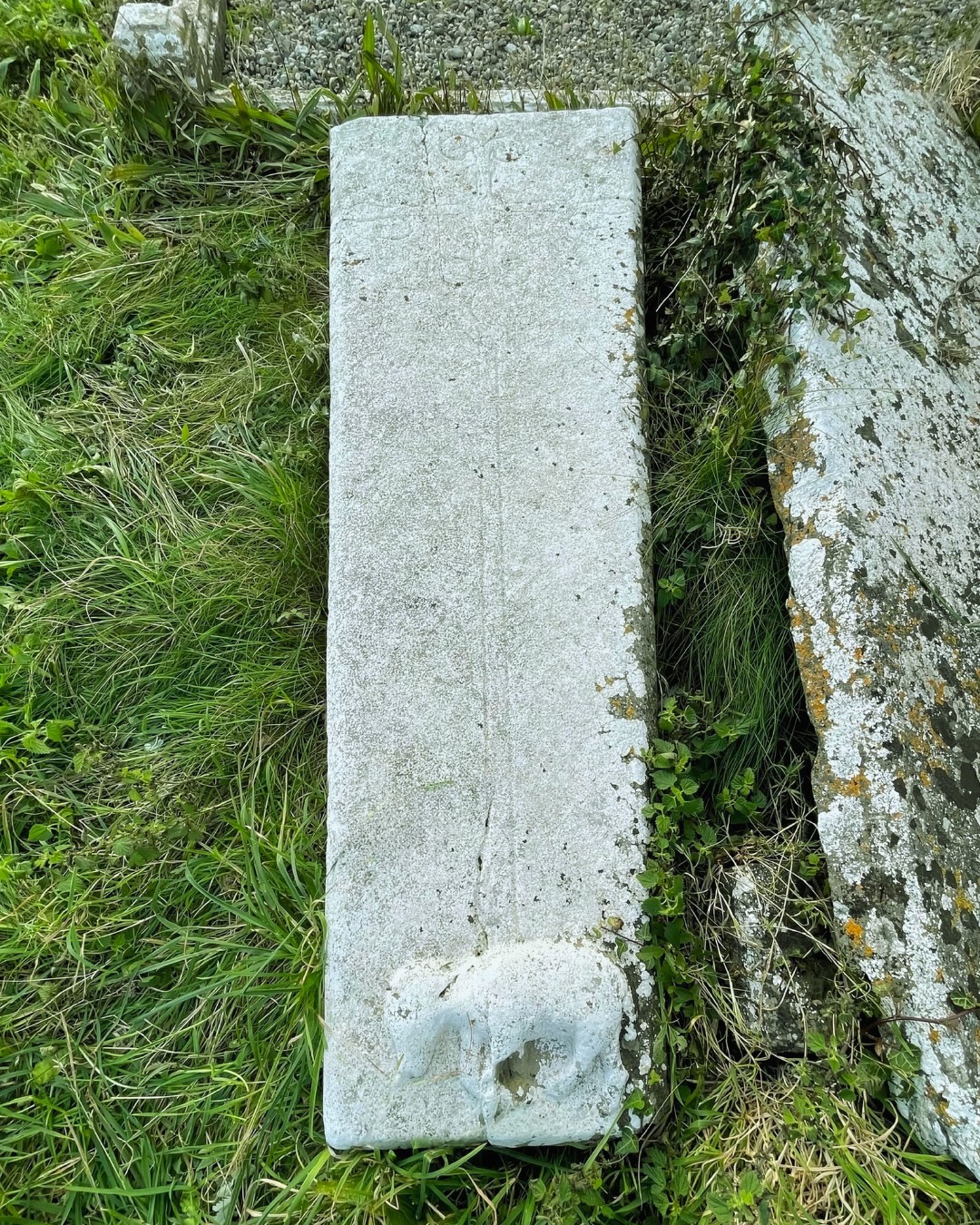Agnus Dei graveslab, St Mary's Church, Templetown, Co. Wexford. Photograph © Helena B. Scott.