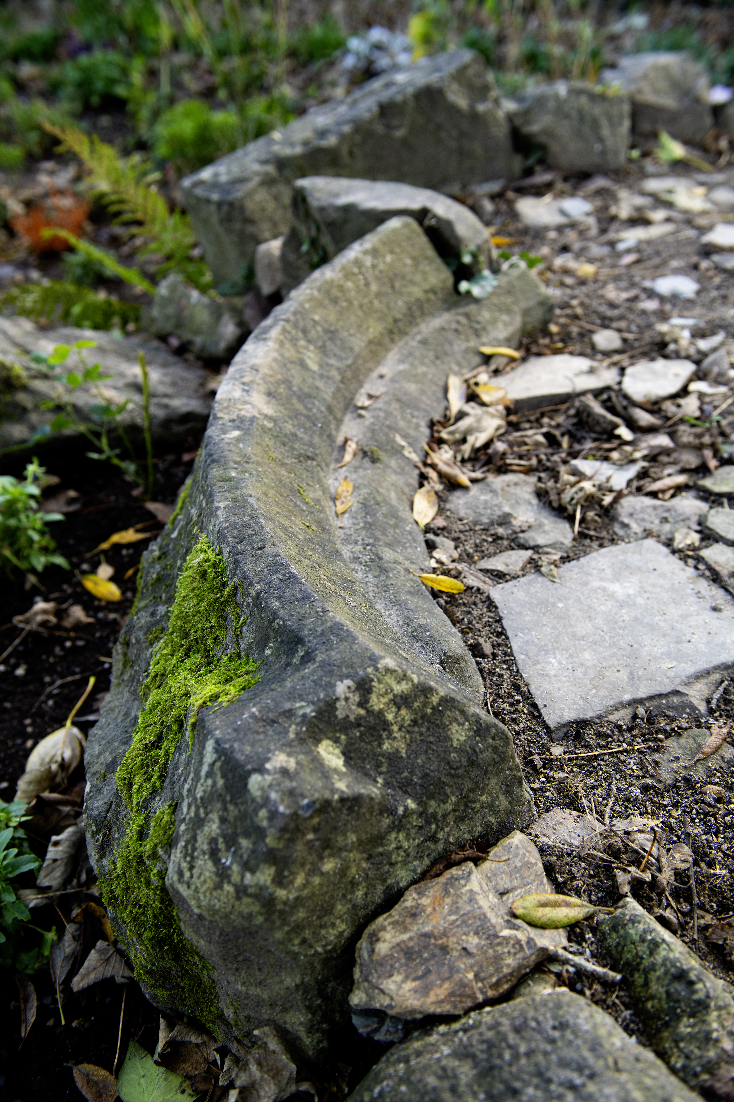 Medieval stone arch — Templar landscape Ireland. Photograph © Philip Devereux for Helena B. Scott.