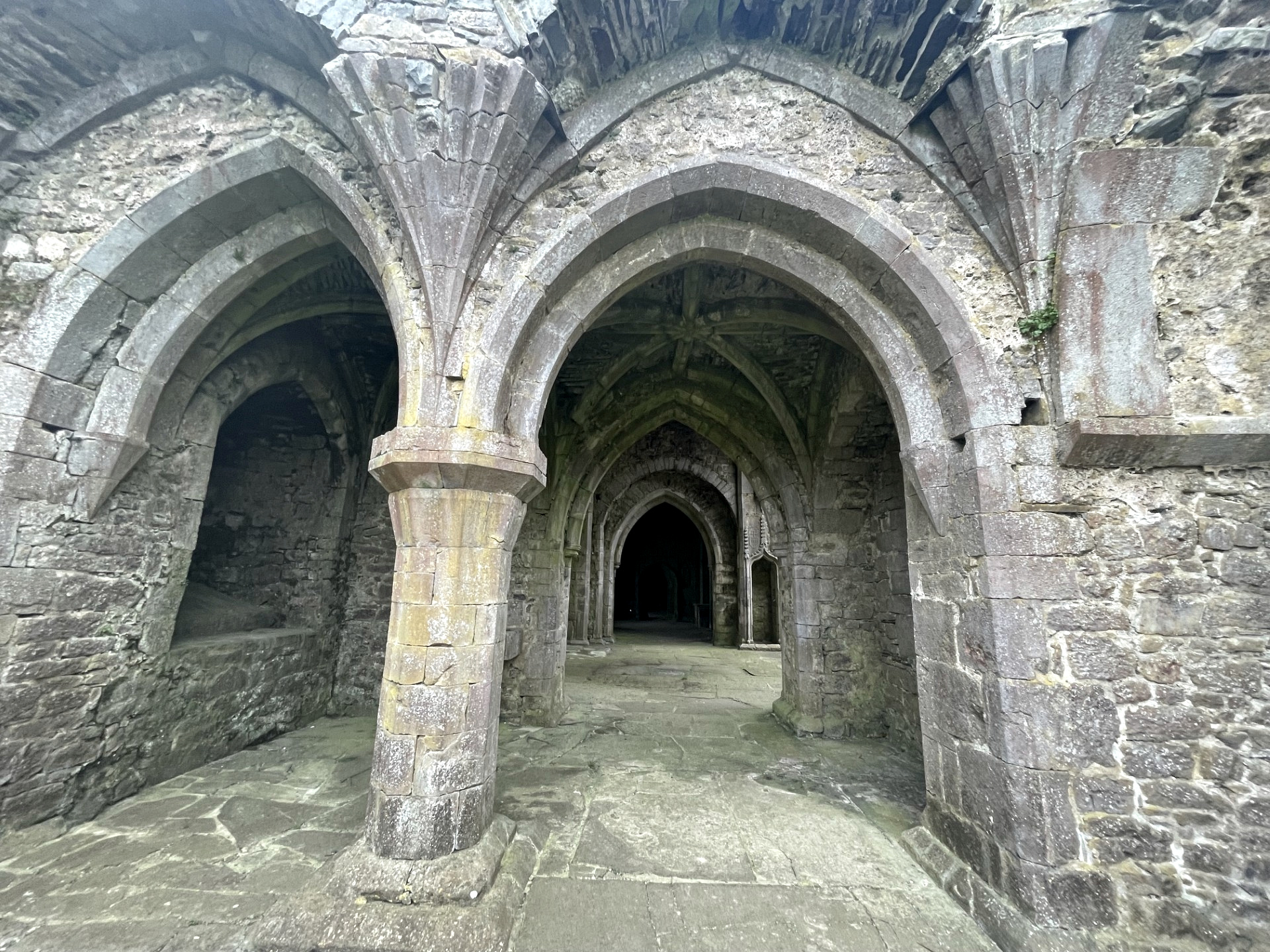 Vaulted cloister passage at Kilcooley Abbey