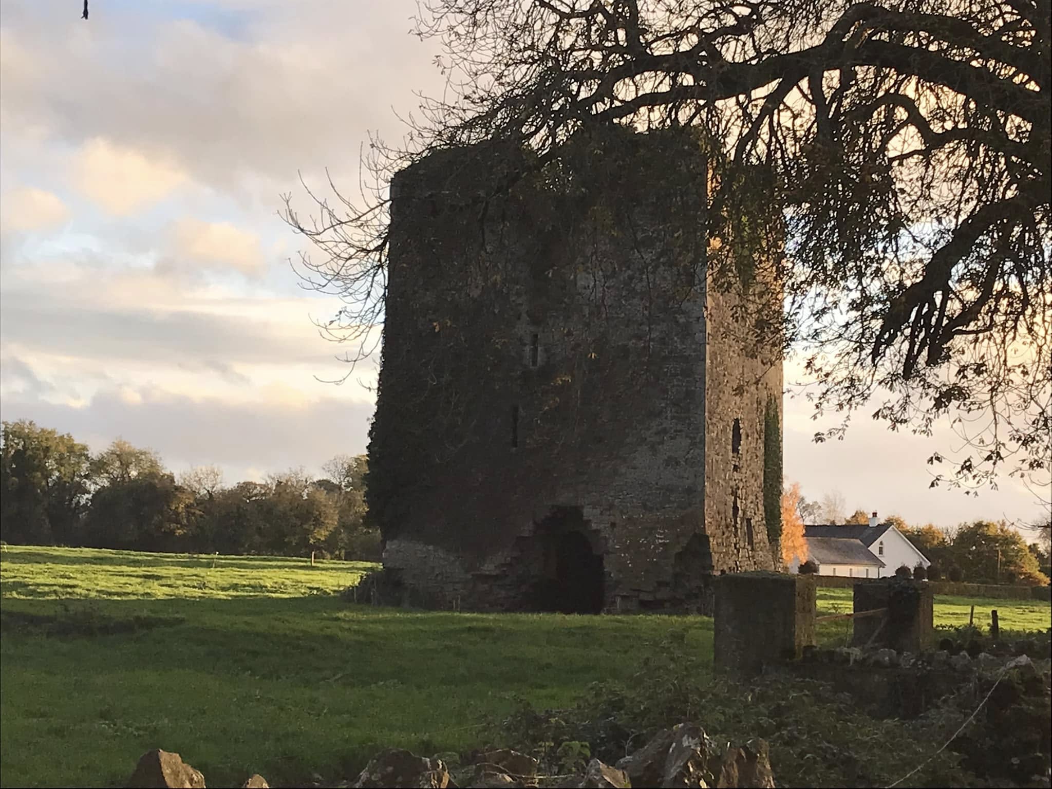 Clonoulty, Co. Tipperary — tower, luminous sky, field and mature tree within the documented Templar manor landscape. Photograph © Helena B. Scott.