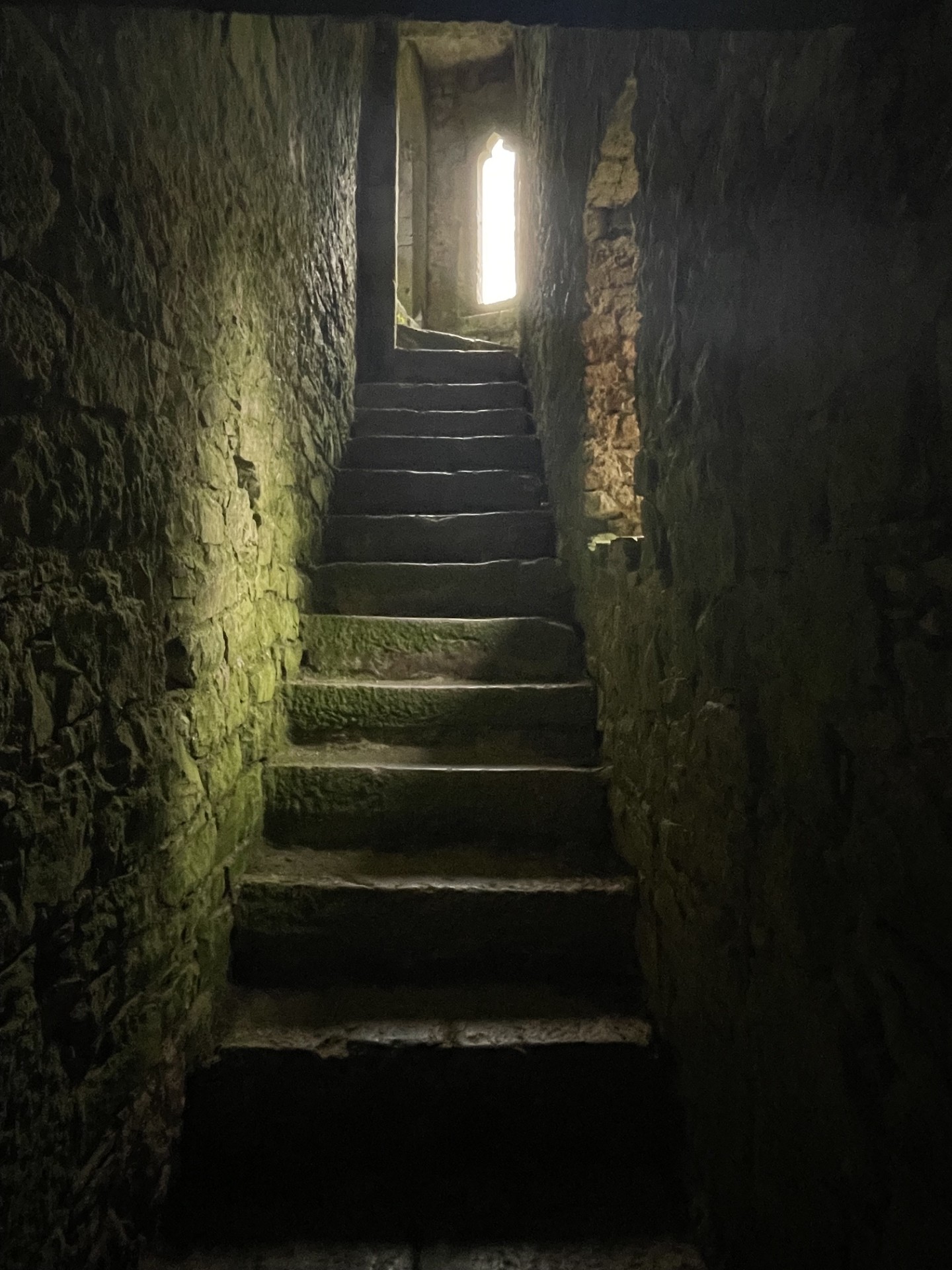 Cistercian Kilcooley Abbey · Medieval Stone Stair