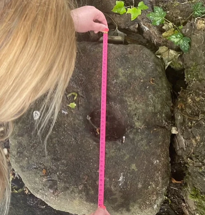 Helena B. Scott field recording the Kilbarry bullaun stone during her MA dissertation research
