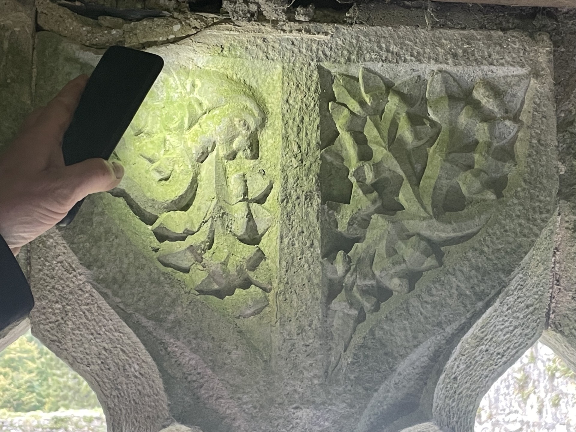 Cistercian Kilcooley Abbey · Green Man