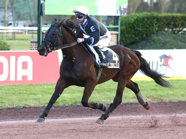 Paarden op de drafbaan — Lapis Group