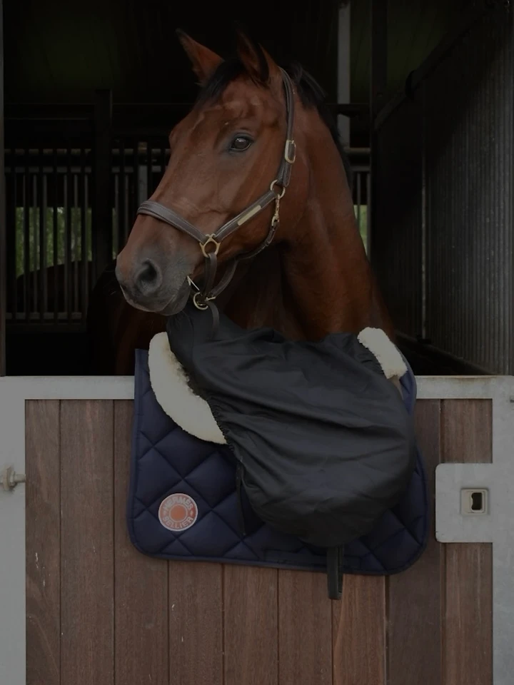 Paard in de stal — Lapis Group