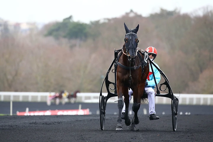 Harness racing — Lapis Group