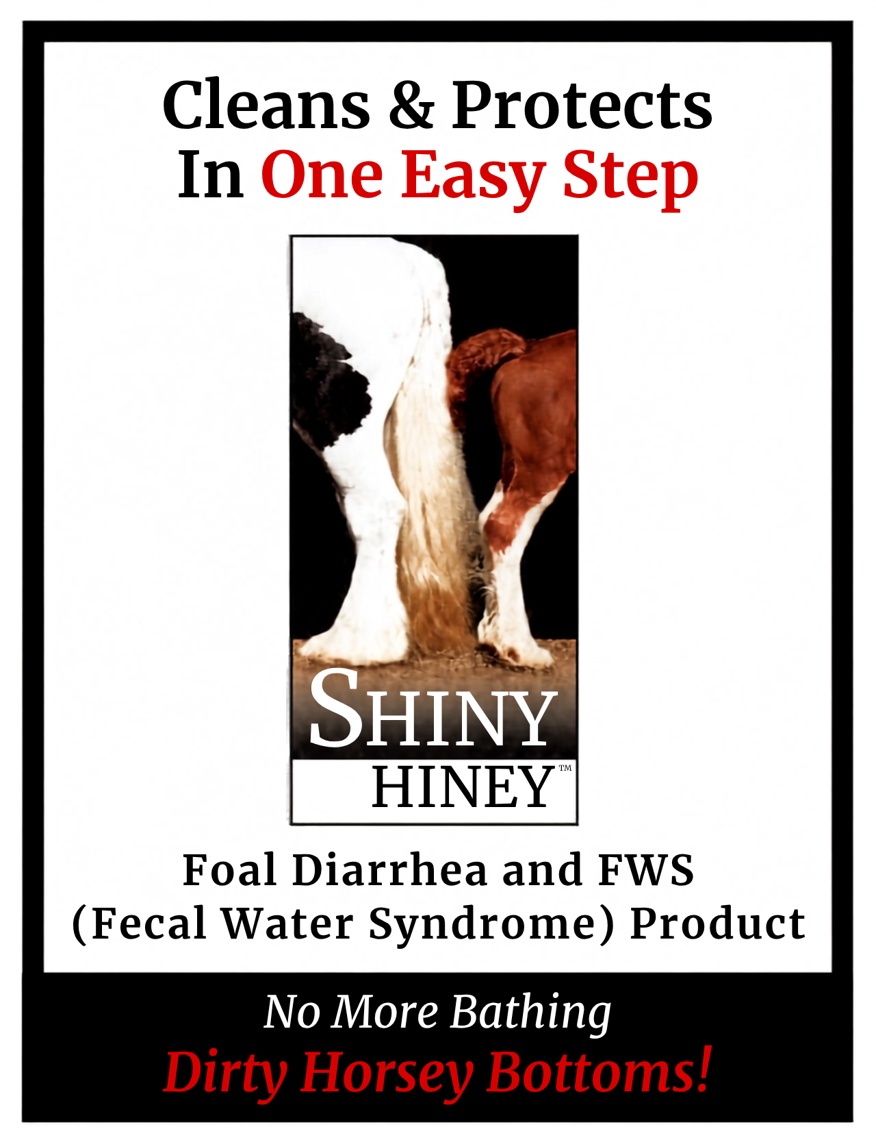 Shiny Hiney — cleans & protects in one easy step