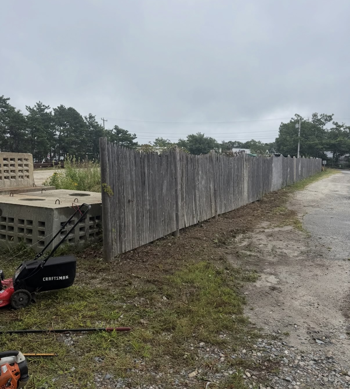 After fence-line cleanup — property cleanup results