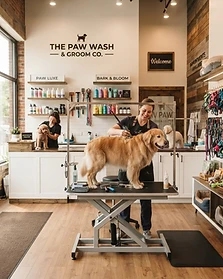Pet Care