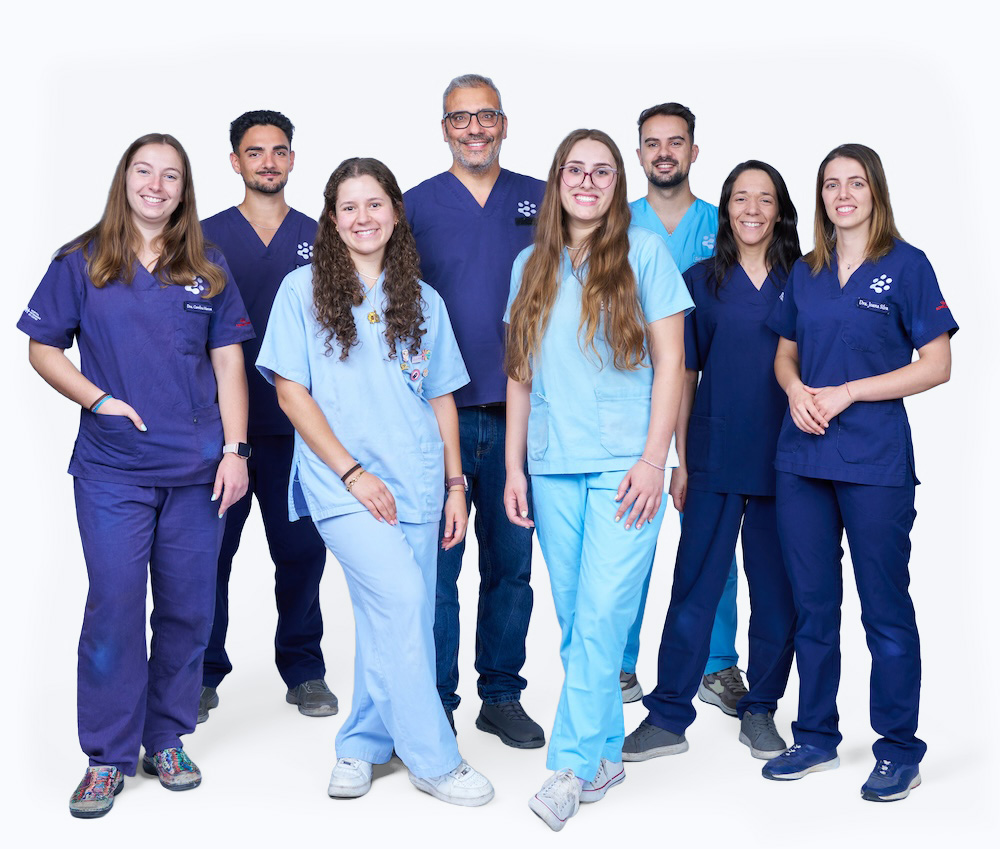 Equipa Coimbra Pet Hospital