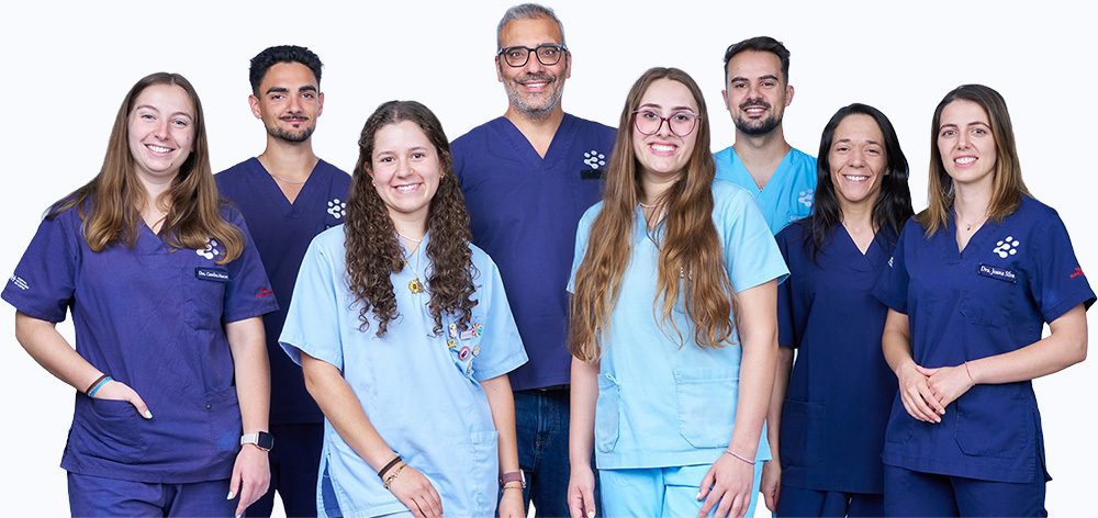 Equipa Coimbra Pet Hospital