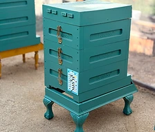 Hive with pin card