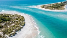 Honeymoon Island vs Caladesi Island: Which Clearwater Boat Tour Is Right for You?