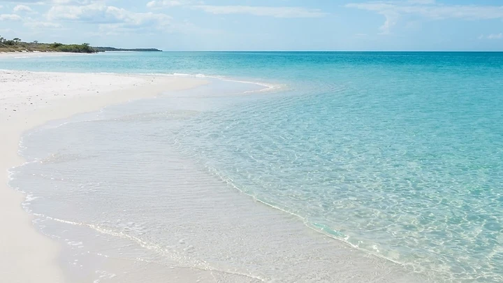Private Pontoon Charter in Clearwater: Why a Pontoon Boat Is Perfect for Your Gulf Coast Day