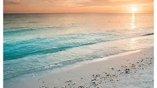 Celebrating on the Water: Special Occasions on a Clearwater Boat Charter