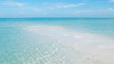 Boating With Kids in Clearwater Beach: A Family Charter Guide