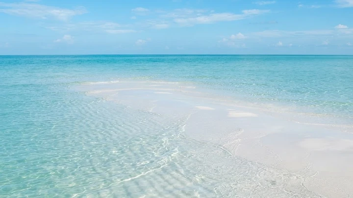 Boating With Kids in Clearwater Beach: A Family Charter Guide