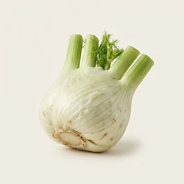 fennel bulb