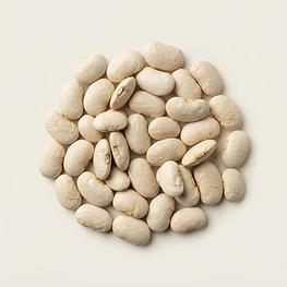 large lima beans