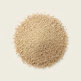 active dry yeast