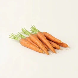 carrot
