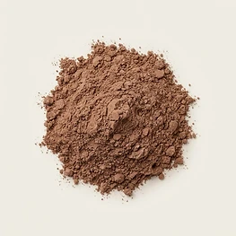 chocolate protein powder