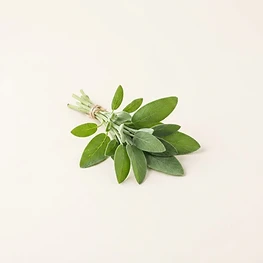 fresh sage